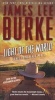 Light of the World (Paperback) - James Lee Burke Photo