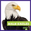 Bald Eagles (Hardcover) - Mari C Schuh Photo