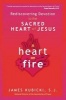 A Heart on Fire - Rediscovering Devotion to the Sacred Heart of Jesus (Paperback, New) - S J James Kubicki Photo