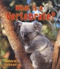 What is a Vertebrate? (Paperback) - Bobbie Kalman Photo