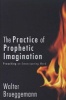 The Practice of Prophetic Imagination - Preaching an Emancipating Word (Hardcover) - Walter Brueggemann Photo