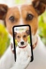 The Dog Taking a Smartphone Selfie Journal - 150 Page Lined Notebook/Diary (Paperback) - Cool Image Photo