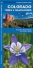 Colorado Trees & Wildflowers: An Introduction to Familiar Species (Paperback) - James Kavanagh Photo