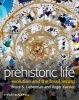 Prehistoric Life - Evolution and the Fossil Record (Hardcover) - Bruce S Lieberman Photo