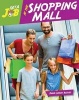 Get a Job at the Shopping Mall (Hardcover) - Diane Lindsey Reeves Photo