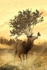 A Deer Growing a Tree Instead of Antlers, Art and Nature - Blank 150 Page Lined Journal for Your Thoughts, Ideas, and Inspiration (Paperback) - Unique Journal Photo