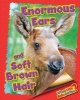 Enormous Ears and Soft Brown Hair (Moose) (Hardcover) - Ellen Lawrence Photo