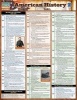 American History 2 (Poster) - BarCharts Inc Photo