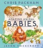 Amazing Animal Babies (Paperback) - Chris Packham Photo