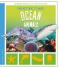 Protecting Ocean Animals (Hardcover) - Lauren Kukla Photo