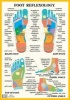 Foot Reflexology (Poster) -  Photo