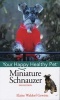 Miniature Schnauzer (Hardcover, 2nd Revised edition) - Elaine Waldorf Gewirtz Photo