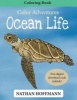 Color Adventures Ocean Life (Paperback) - Nathan Hoffmann Photo