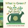 What is Green? - A Colors Book (Board book) - Kate Endle Photo