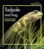 Stopwatch Big Book: Tadpole and Frog (Paperback, New Ed) - Christine Back Photo