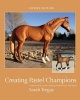 Creating Pastel Champions - A Step-By-Step Guide to Painting Model Horses with Pastels (Paperback) - Sarah Tregay Photo