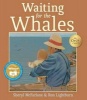 Waiting for the Whales (Paperback) - Sheryl McFarlane Photo