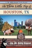 The Three Little Pigs of Houston, TX (Paperback) - Dr Silly Goose Photo