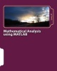 Mathematical Analysis Using MATLAB (Paperback) - Levy P Photo