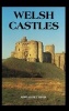 Welsh Castles - A Guide by Counties (Hardcover) - Adrian Pettifer Photo