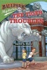 Ballpark Mysteries #11: The Tiger Troubles (Paperback) - David A Kelly Photo