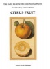 Citrus Fruit (Hardcover) - David Freedberg Photo