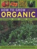 How to Grow Organic Vegetables, Fruit, Herbs and Flowers - The Complete Guide to Cultivating a Productive and Beautiful Garden the Natural Way, with Over 600 Step-by-step Photographs (Paperback) - Christine Lavelle Photo