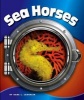 Sea Horses (Hardcover) - Kara L Laughlin Photo