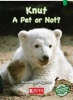 Knut a Pet or Not, Green - Gr 3 (Paperback) -  Photo