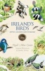 Ireland's Birds (Paperback, New edition) - Niall MacCoitir Photo