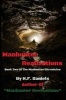 Manhunter Realizations - Book Two of the Manhunter Chronicles (Paperback) - H F Daniels Photo