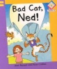 Bad Cat, Ned! (Paperback) - Ann Bryant Photo