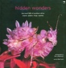 Hidden Wonders - The Small 5005 of Southern Africa - Insects, Spiders, Frogs and Reptiles (Paperback) - Rael Loon Photo