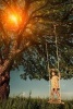 Little Girl Standing on a Swing in a Tree Journal - 150 Page Lined Notebook/Diary (Paperback) - Cs Creations Photo