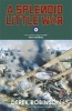 A Splendid Little War (Paperback) - Derek Robinson Photo