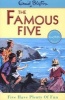 Five Have Plenty of Fun, Book 14 (Paperback, New Ed) - Enid Blyton Photo