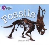 Fossils - Band 10/White (Staple bound) - Andrew Ross Photo