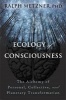 Ecology of Consciousness - The Alchemy of Personal, Collective, and Planetary Transformation (Paperback) - Ralph Metzner Photo