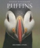 Puffins (Paperback) - Heather Angel Photo