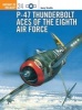 P-47 Thunderbolt Aces of the ETO/MTO (Paperback) - Jerry Scutts Photo