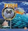 Fish (Hardcover) - Lisa J Amstutz Photo