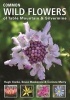 Common Wild Flowers of  Table Mountain & Silvermine (Paperback) - Hugh Clarke Photo