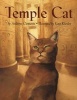 Temple Cat (Paperback) - Andrew Clements Photo