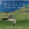 Wildlife Under the Waves (Hardcover) - Jurgen Freund Photo