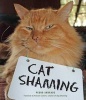 Cat Shaming (Paperback) - Pedro De Andrade Photo