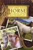 You and Your Horse - How to Whisper Your Way Into Your Horse's Life (Paperback) - Dandi Daley Mackall Photo