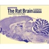 The Rat Brain in Stereotaxic Coordinates (Hardcover, 7th Revised edition) - George Paxinos Photo