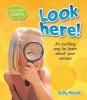 Look Here! (Paperback) - Sally Hewitt Photo