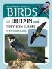 Identification Guide to Birds of Britain and Northern Europe (Paperback, Il Maps.) - Peter Goodfellow Photo