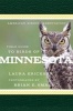 American Birding Association Field Guide to Birds of Minnesota (Paperback) - Laura Erickson Photo